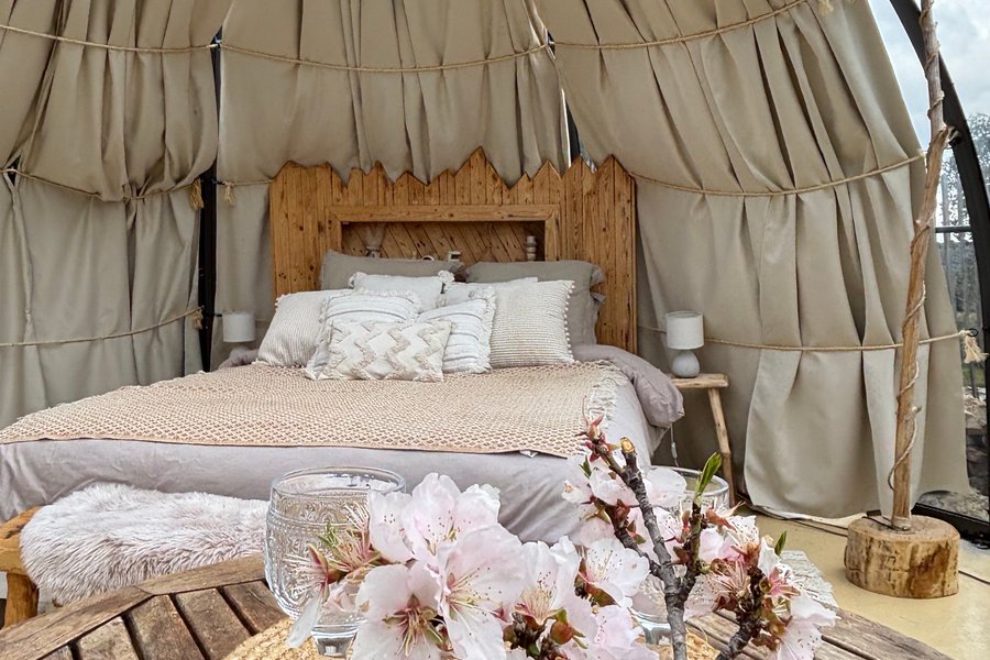 Dôme étoilé & Spa privatif — photo 2