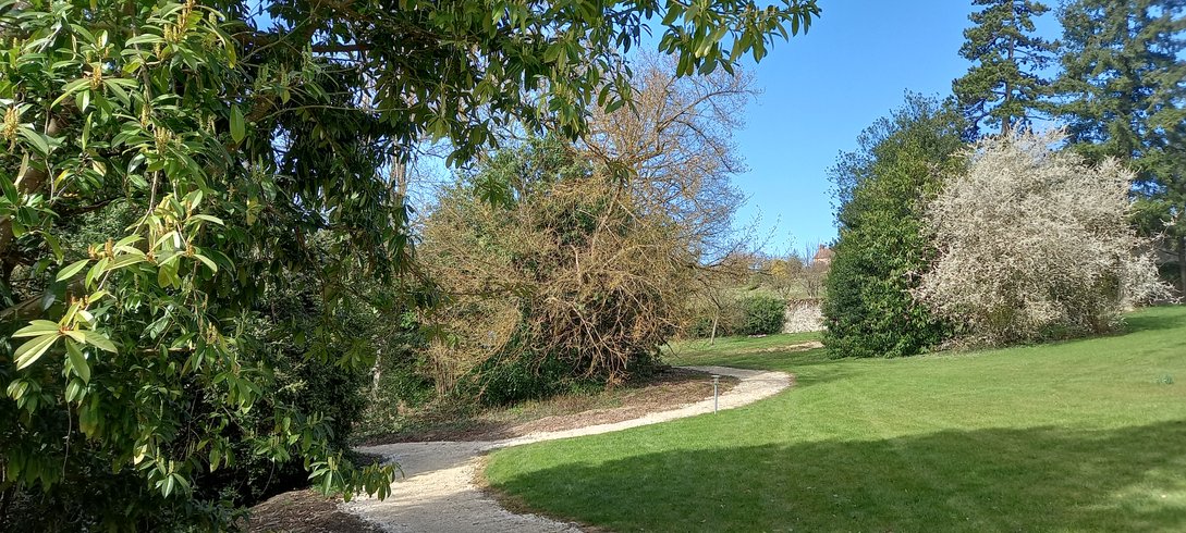 Hébergement AbracadaRoom : Le Drôle de Tipi - Image 14