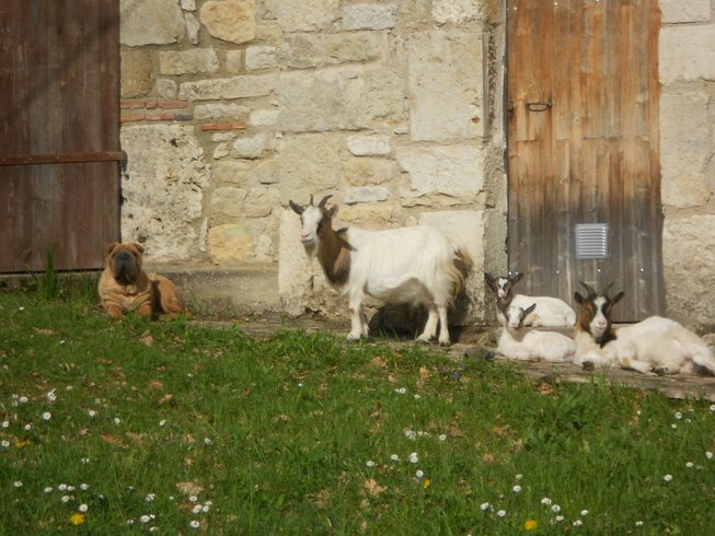 Domaine AbracadaRoom : Domaine des Calosses - Image 10