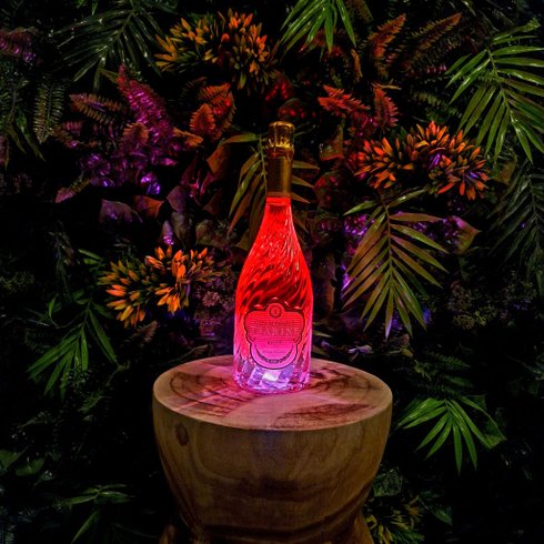 Hébergement AbracadaRoom : Jungle Room & Spa - Image 13