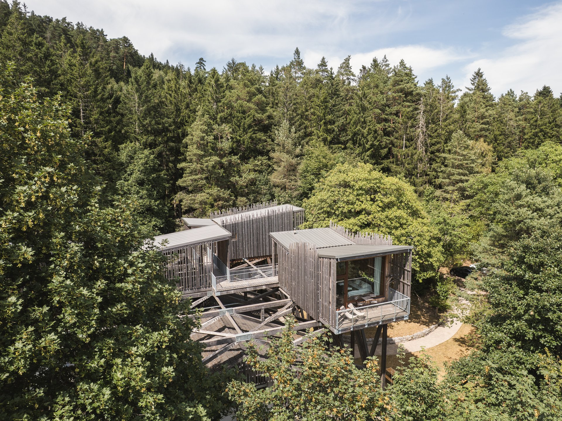 Cabane perchée Forêt et Spa Duo