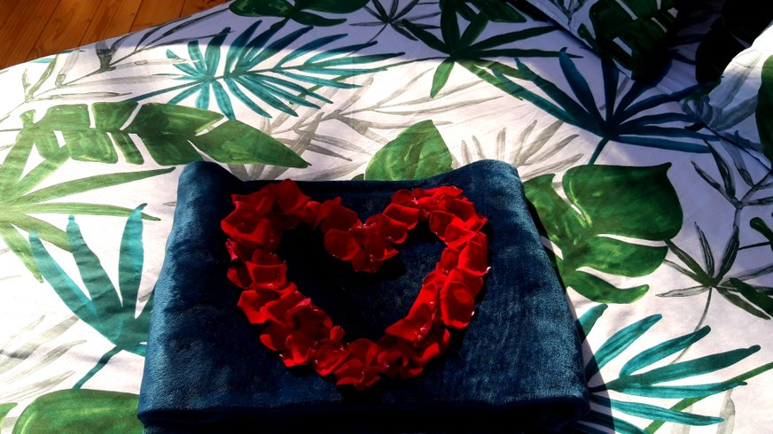 Hébergement AbracadaRoom : Le Dôme à Marie - Image 19