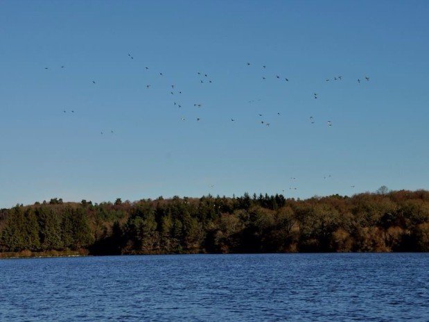 Hébergement AbracadaRoom : Saut du chevreuil - Image 12