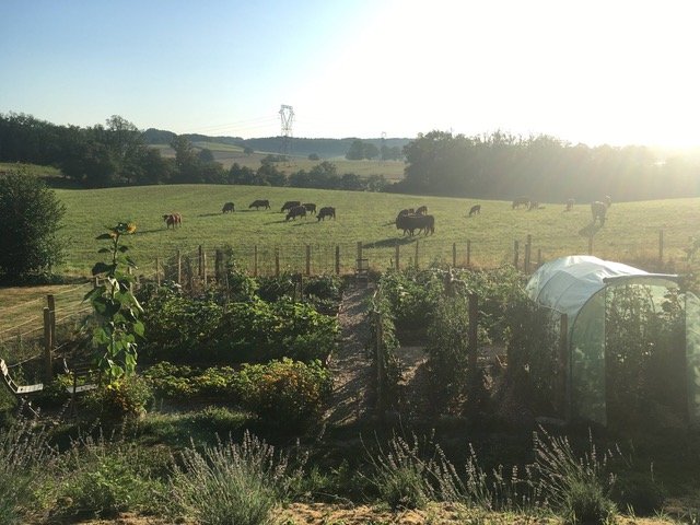 Domaine AbracadaRoom : Domaine Les Filloux - Image 12