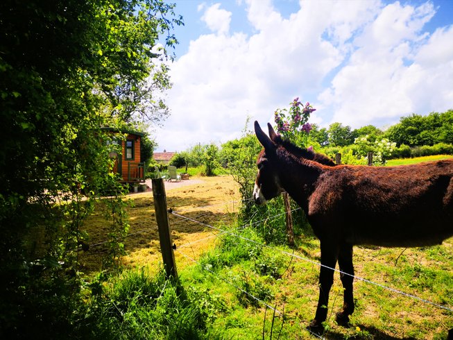 Domaine AbracadaRoom : Roulotte et Forêt : Evasion bohème en Bourgogne - Image 1