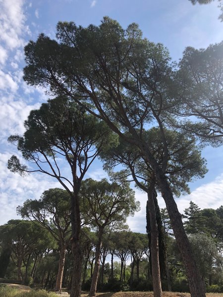 Hébergement AbracadaRoom : Chez Jean-François, Gîte 5* - Image 12