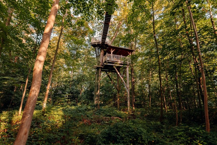 Domaine AbracadaRoom : Cabanes des Grands Chênes - Image 6