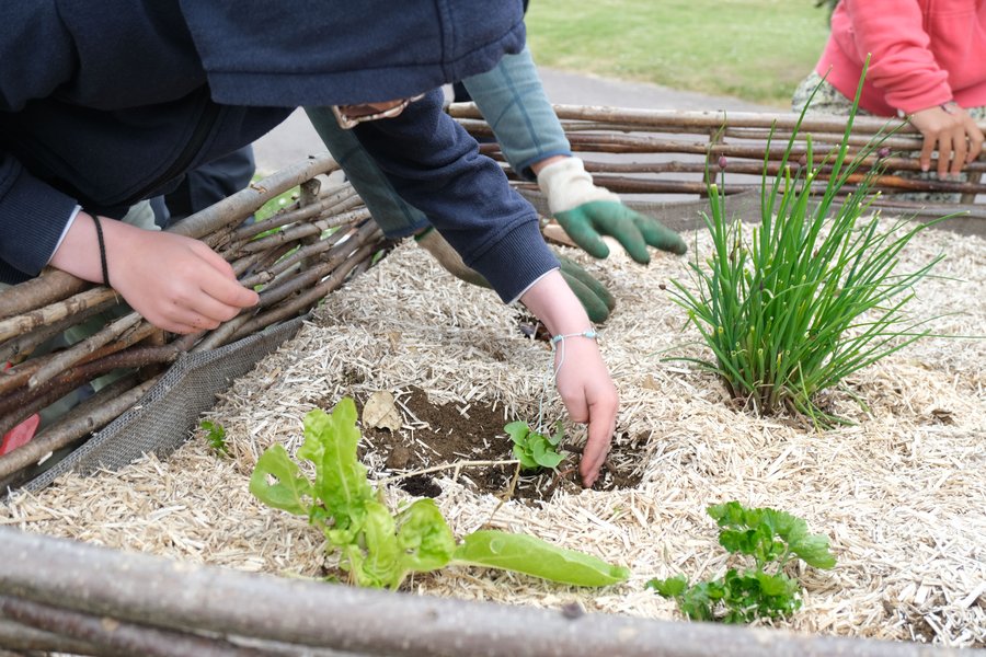 Hébergement AbracadaRoom : Lodge Premium - Image 20