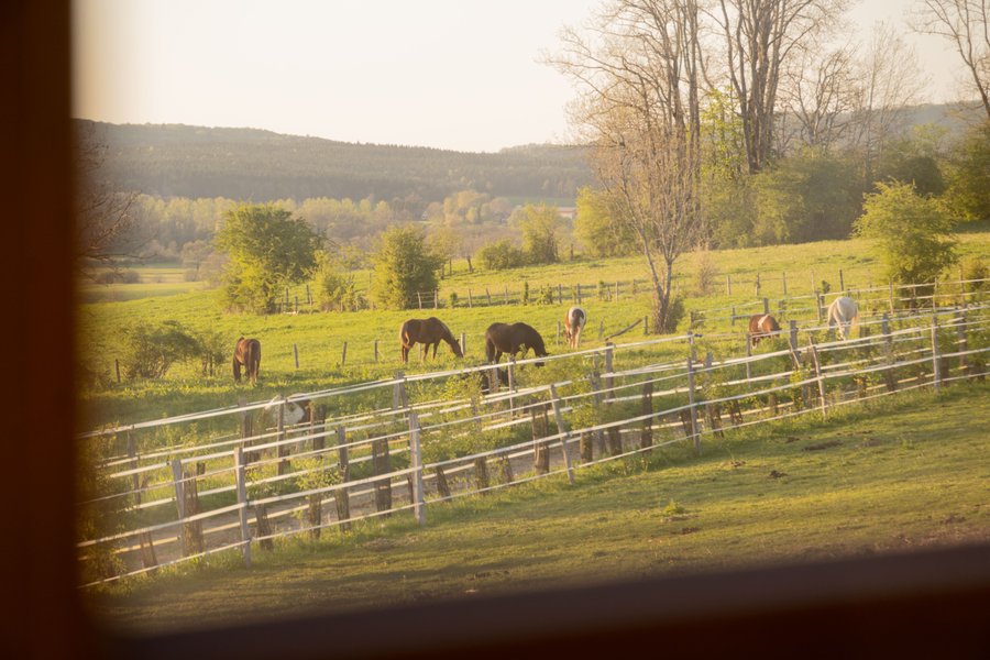Domaine AbracadaRoom : Homnest (Moutoux) - Image 2