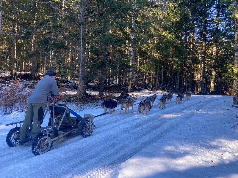 Domaine AbracadaRoom : Esprit du Nord - Image 19