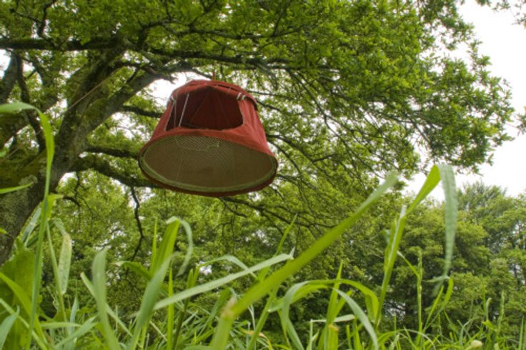 Hébergement AbracadaRoom : Plum'arbres 4 - Image 4