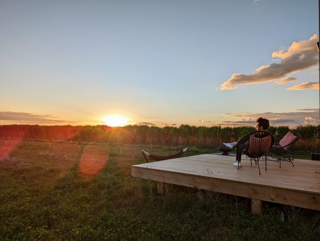 Hébergement AbracadaRoom : La Tiny House d'Henri - Image 4