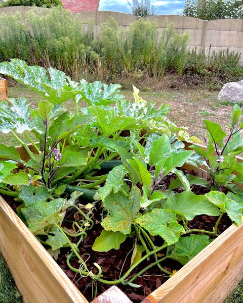 Domaine AbracadaRoom : Seasonova Camping Etennemare - Image 20