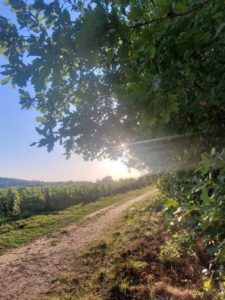 Hébergement AbracadaRoom : Le Dôme romantique du lac de la Cadie & Spa - Image 26
