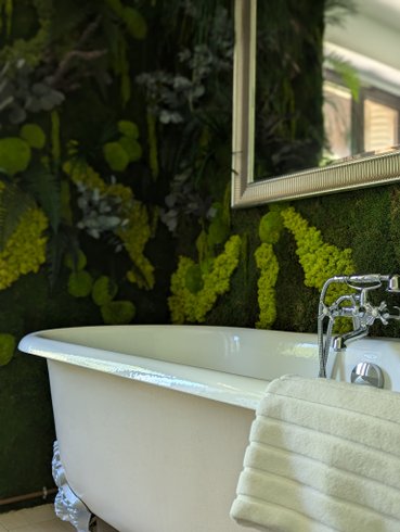 Hébergement AbracadaRoom : Chambre "Rêve de Colibri" - Image 7