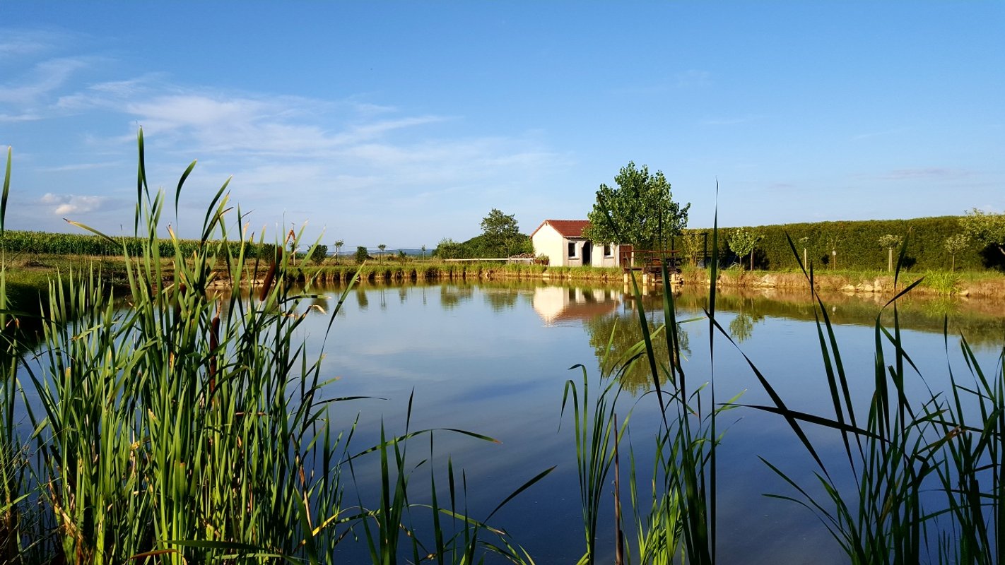 Gîte complet 5 Lodges  15 couchages à Fraisnes-En-Saintois (15)