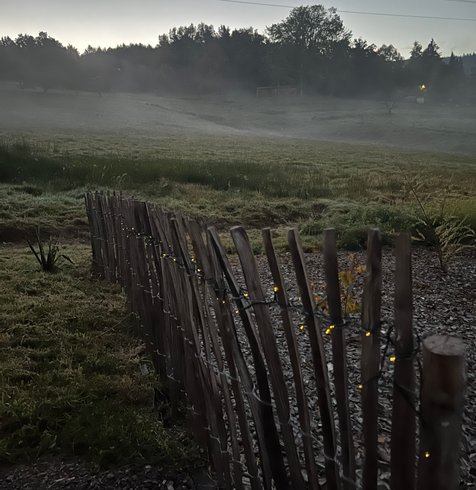 Domaine AbracadaRoom : Nordic Lodge Vosges - Image 3