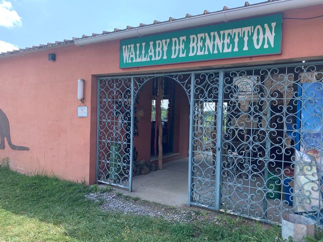 Domaine AbracadaRoom : Wallaby de Benett'on - Image 2