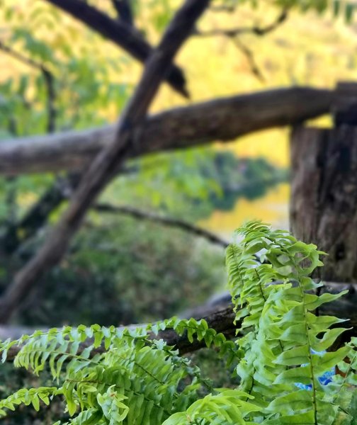 Hébergement AbracadaRoom : Sweet Dream & spa avec vue rivière - Image 30