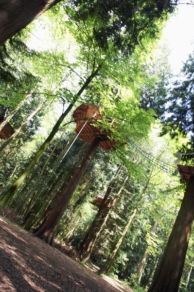 Hébergement AbracadaRoom : Cabane Tyrolienne n°4 - Image 4