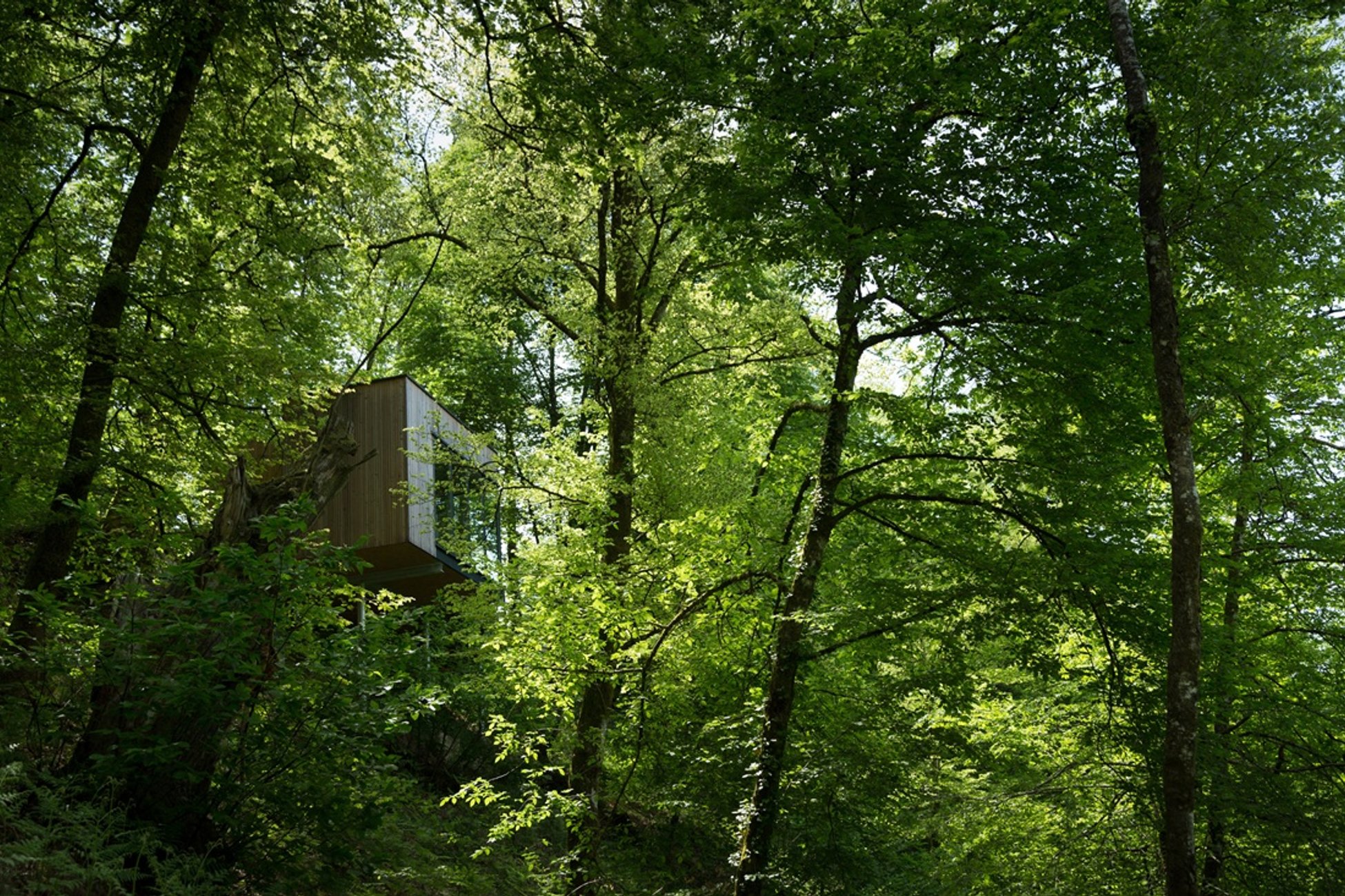 Hébergement UnicStay : Cabane Pin à Meyrignac L’eglise