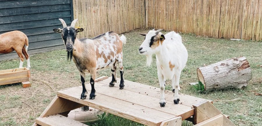 Domaine AbracadaRoom : Seasonova Les Portes en Ré - Image 12