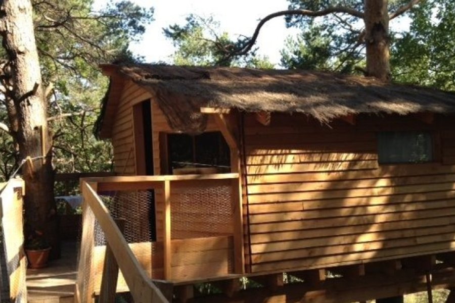 La Cabane de Camille — photo 2