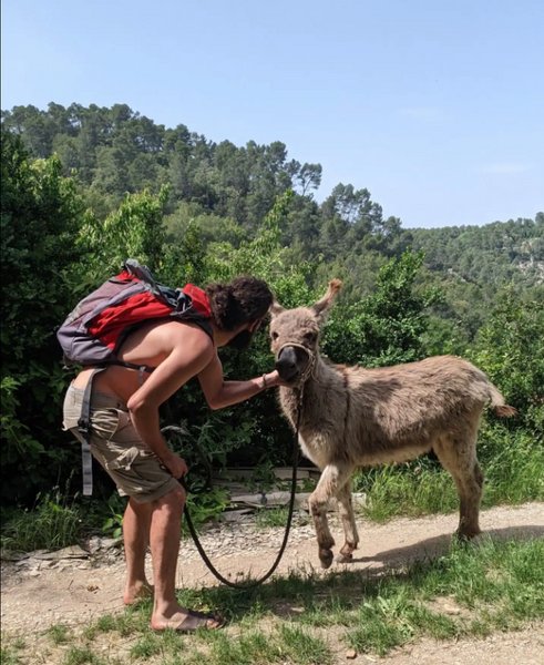 Domaine AbracadaRoom : La mauvaise herbe - Image 17