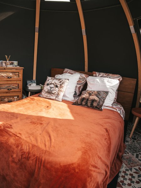 Hébergement AbracadaRoom : Les alpagas du clos - Image 13