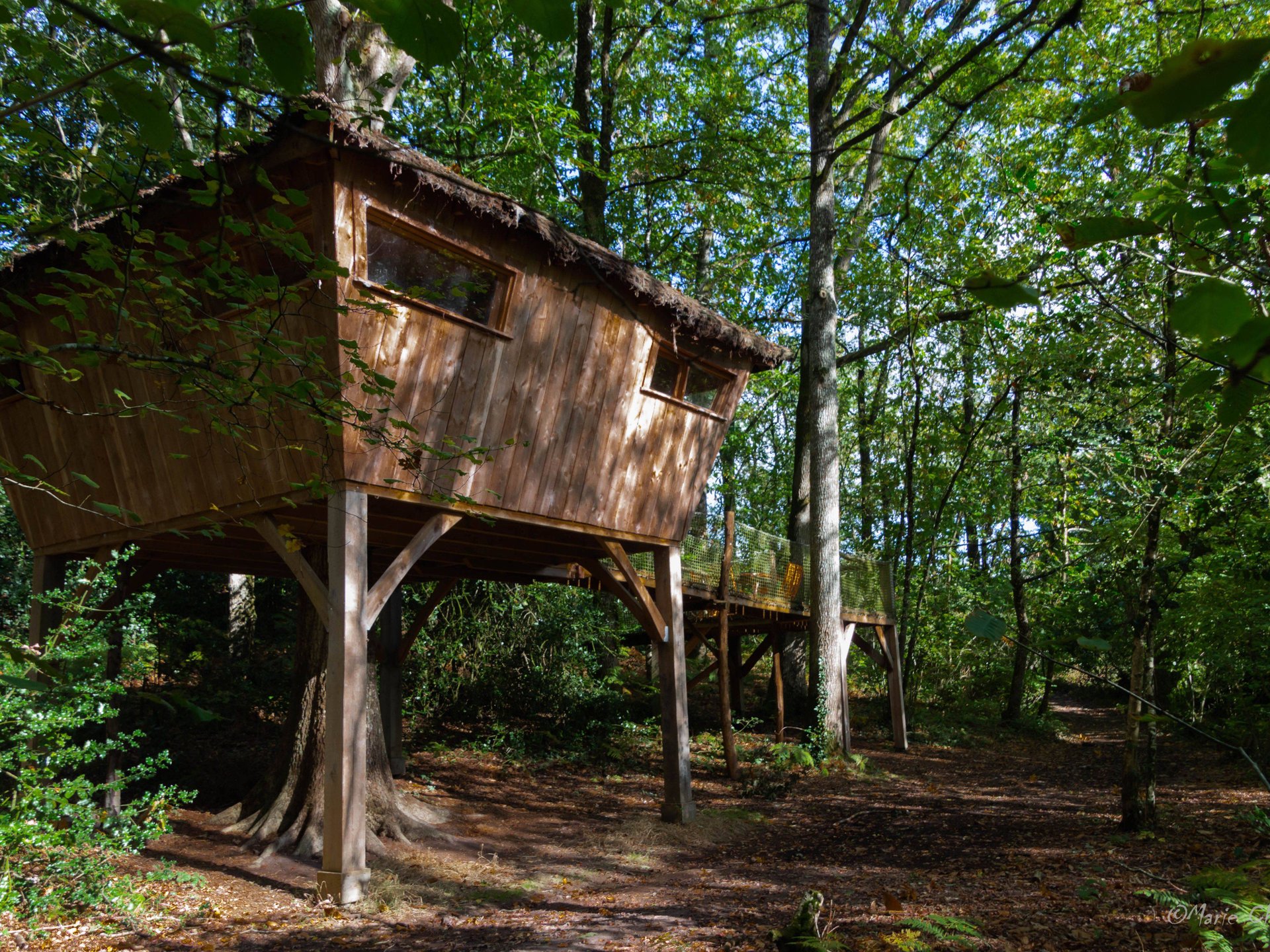 Cabane Mésange