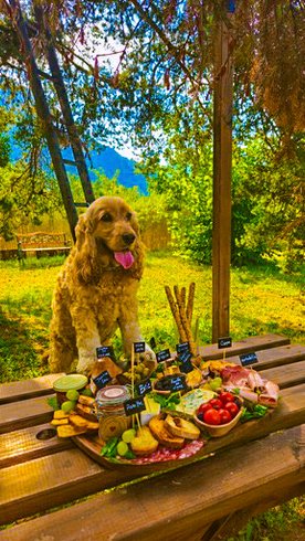 Hébergement AbracadaRoom : Chalet en verre sous une pluie d’étoiles - Image 27