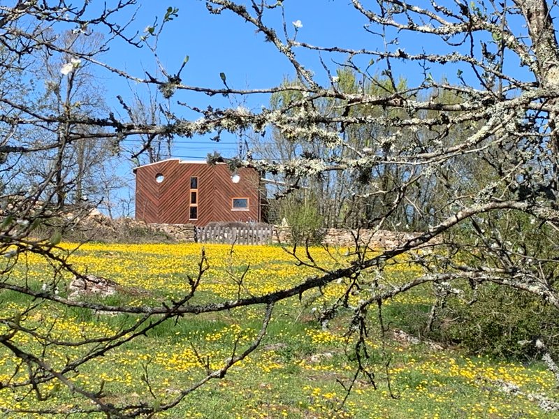 Hébergement AbracadaRoom : Tiny House & Spa - Image 15