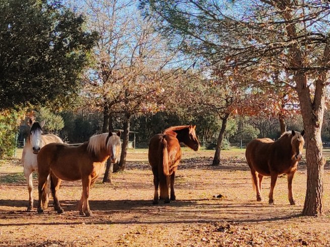 Hébergement AbracadaRoom : Le Voyage Imaginaire - Image 31