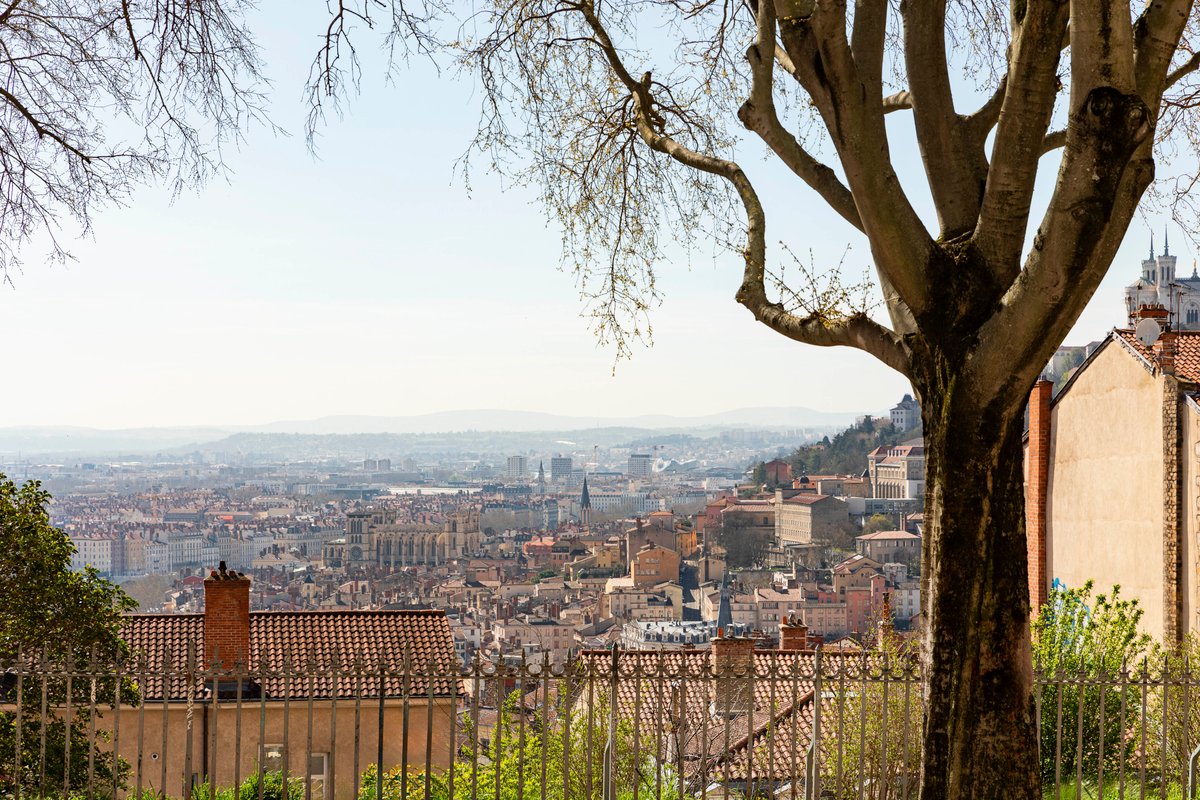 NEAT SUITE  -SPA & CINEMA à Lyon (7)