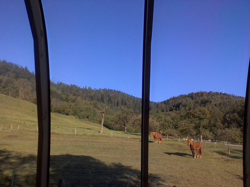 nuit sous les étoiles-ferme traitsanes-séjour insolite-à deux-alsace-abracadaroom