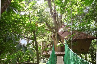 Cabane dans les arbres Ille-et-Vilaine