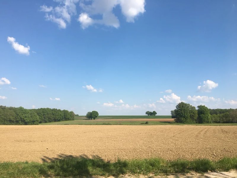 Hébergement AbracadaRoom : Cocon de Tranquillité - Image 10