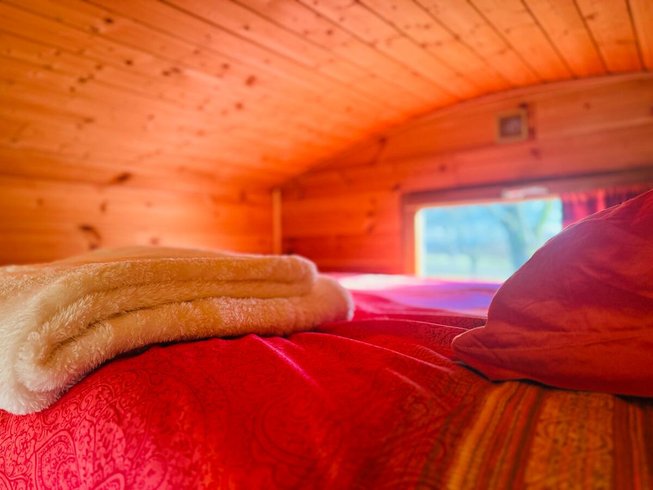 Hébergement AbracadaRoom : La petite roulotte de Vallin | Nature | Cosy - Image 6