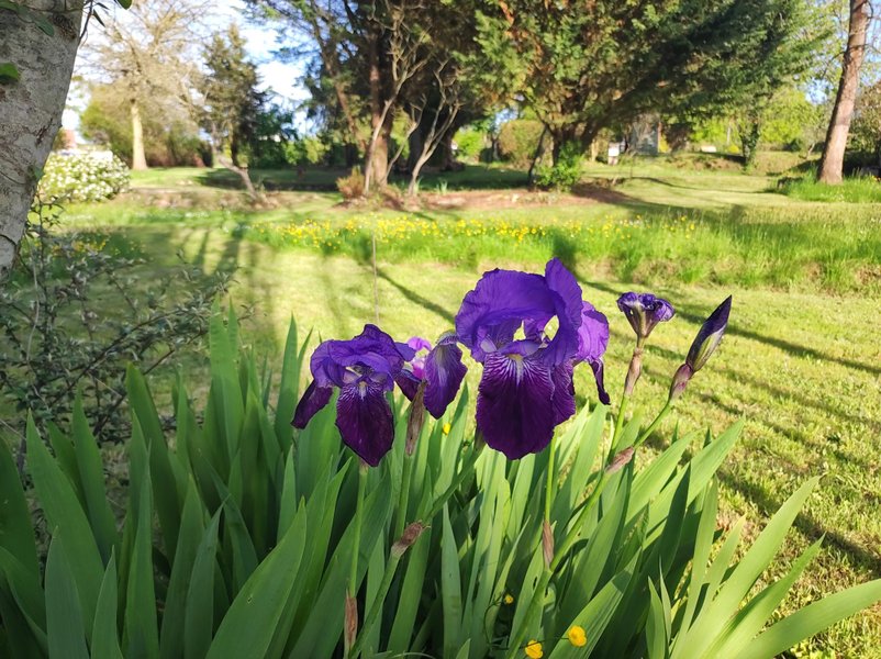 Hébergement AbracadaRoom : Le Dôme Géodésique - La déconnexion en harmonie avec la nature. - Image 18