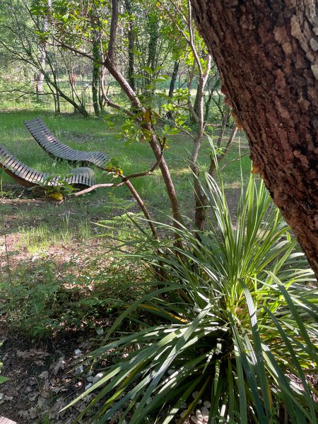 Hébergement AbracadaRoom : Le Lodge et son Spa - Image 17