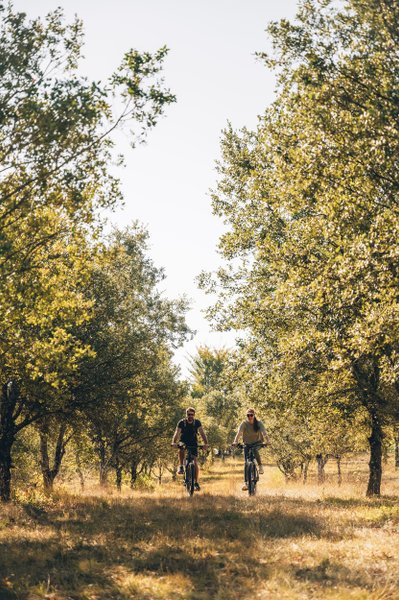 Domaine AbracadaRoom : Pella Roca - Image 7