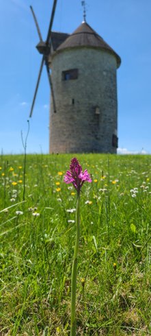 Domaine AbracadaRoom : Moulin de Loubatière - Image 5