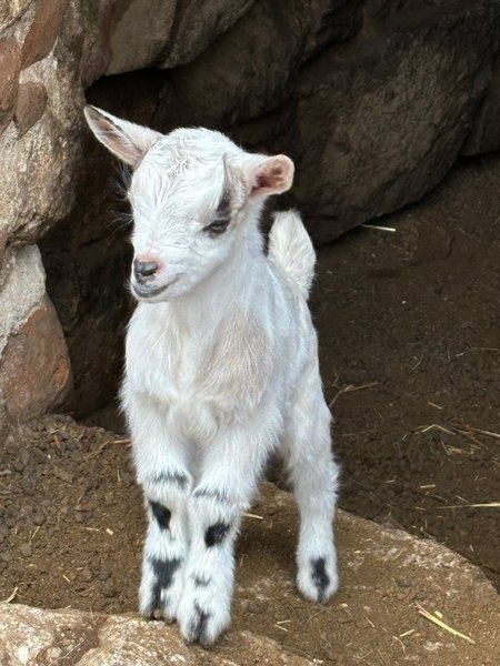 Domaine AbracadaRoom : A NASSA - Image 8