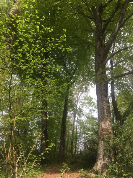 Domaine AbracadaRoom : Caban'Aspe - Image 6