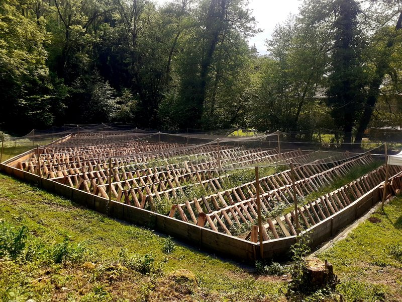 Hébergement AbracadaRoom : Dôme Coquille - Image 13