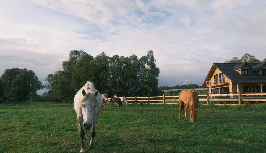 Hébergement AbracadaRoom : Maison sur pilotis au cœur de la nature - Image 1