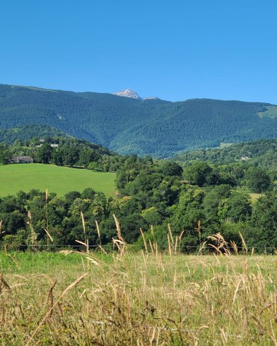 Domaine AbracadaRoom : Yourte Pyrénées - Image 1