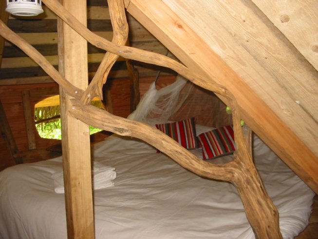 Hébergement AbracadaRoom : Chêne fou - Image 5