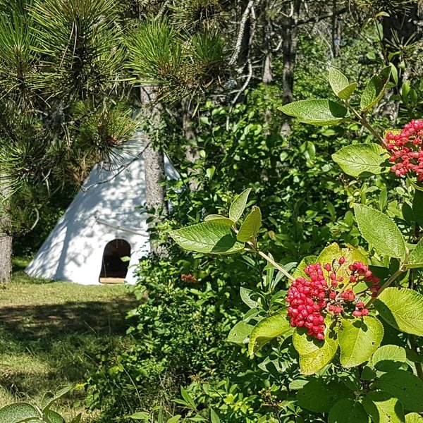 Domaine AbracadaRoom : KAYANE "balades à dos d'âne & nuitées atypiques" - Image 3