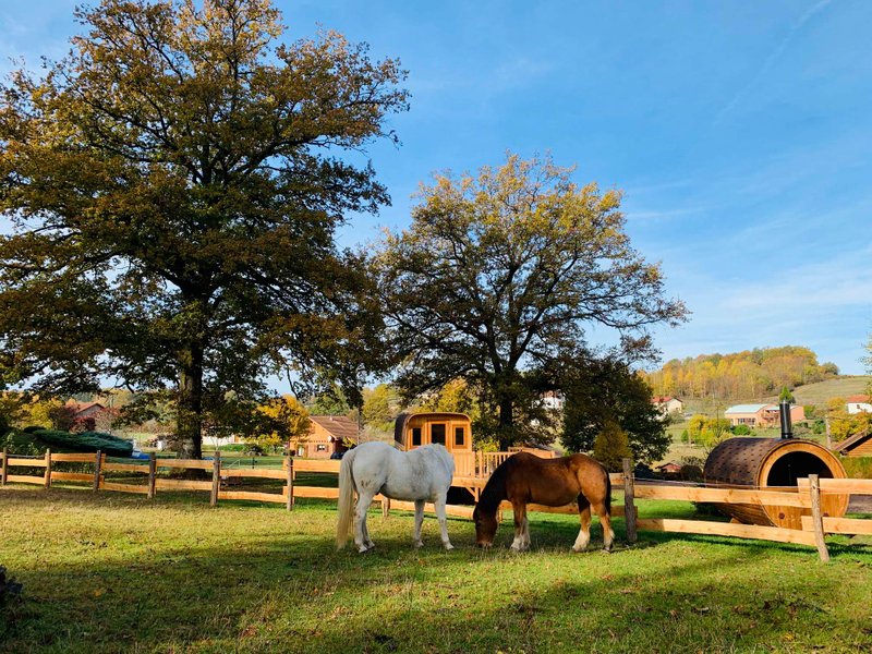 Domaine AbracadaRoom : Ma Roulotte sous les Chênes - Image 10
